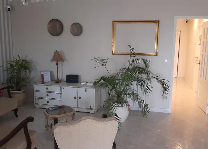 Flamingos Rio