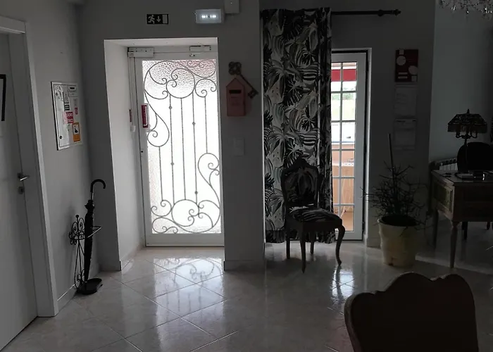 Flamingos Rio